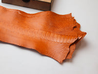 OSTRICH LEG SKIN WATCH STRAPS - TANGERINE ORANGE (KNEE SIDE)